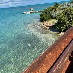 Meet your Posher, Mya